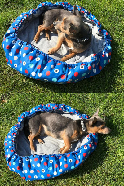 Nähanleitung "Hugo to go" Hundebett Hundekissen nähen