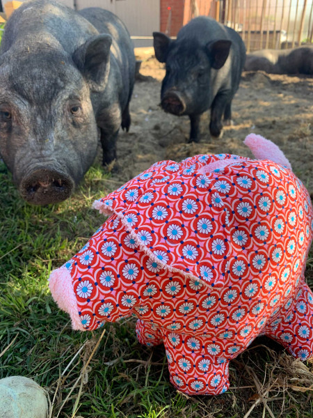 P-egg-y, die eierlegende Wollmilchsau, Ebook Schnittmuster