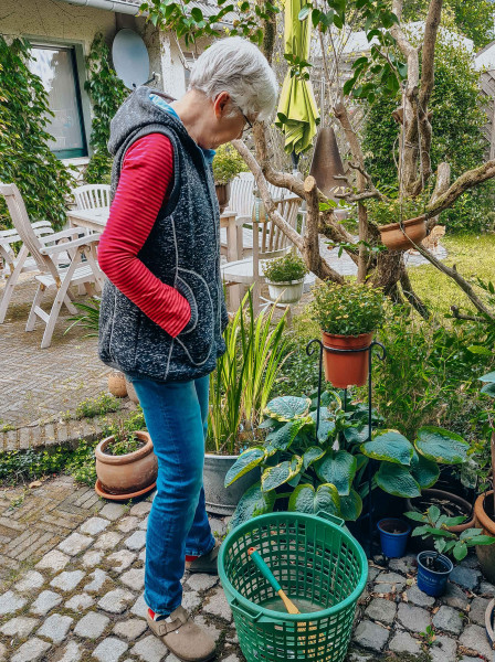 FrauVIKTORIA, Damenweste, Schnittmuster