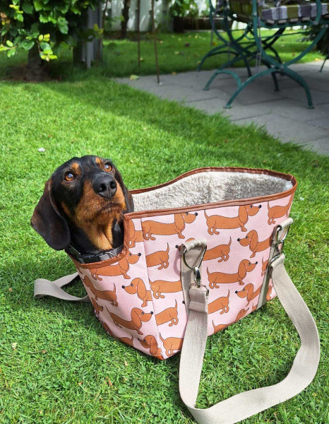 Korb Tresi mit verstärkten Wänden, Kreativ-Ebook