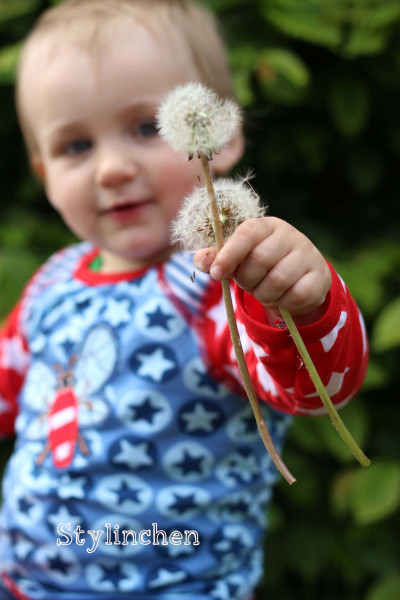 ANTONIA, Kombi-Shirt, Schnittmuster