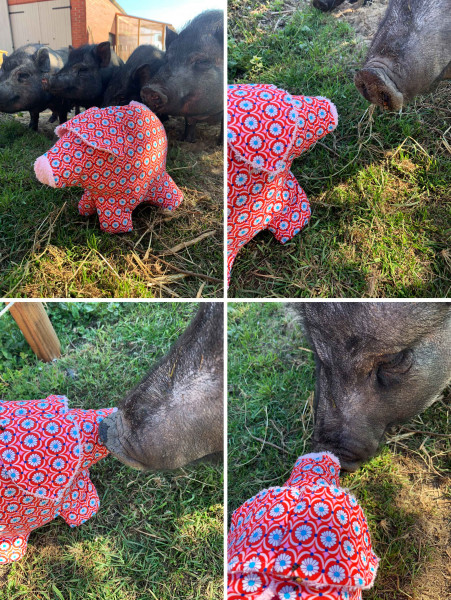 Süßes Stoffschweinchen "Peggy", PDF-Schnittmuster mit Fotoanleitung