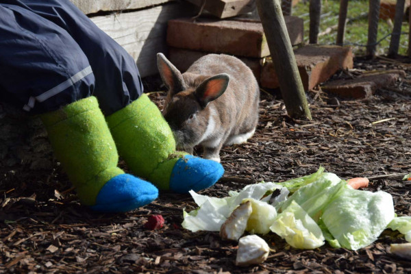 Ebook, Matsch-Booties - Outdoor-Krabbelschuhe für Babys und Kleinkinder