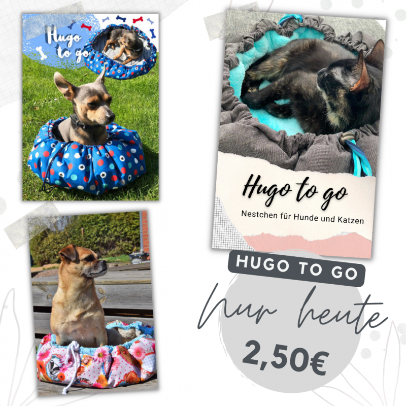 Hugo-to-go