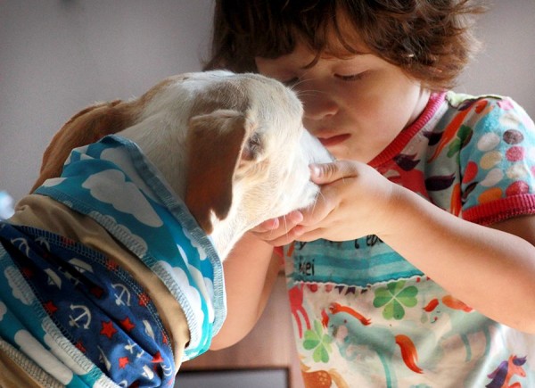 Tullehuivi – Schlauchschal Kreativ-Ebook