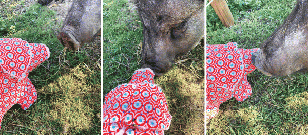 P-egg-y, die eierlegende Wollmilchsau, Ebook Schnittmuster