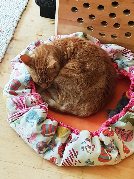 Hugo-to-go, Hundebett zum Mitnehmen, Ebook