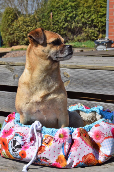 Hundereisebett DIY Nähanleitung Hugo-to-go