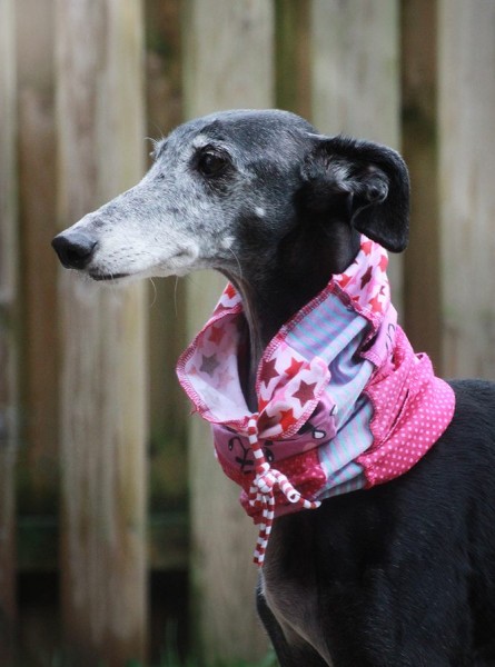 Tullehuivi – Schlauchschal Kreativ-Ebook