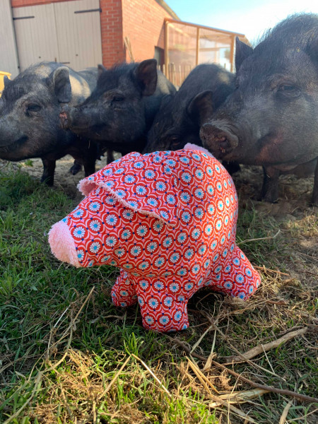 P-egg-y, die eierlegende Wollmilchsau, Ebook Schnittmuster