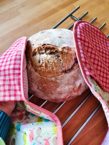 Erich und Erica - Topfhandschuh, Kreativ-Ebook