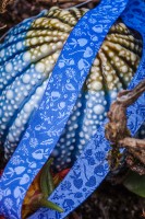 Forest Mini-Sweets Blau, Webband