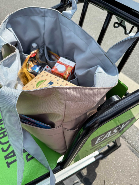 AllesRein, Großraumtasche für jede Gelegenheit, Ebook