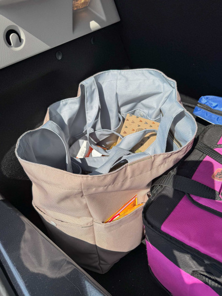 AllesRein, Großraumtasche für jede Gelegenheit, Ebook