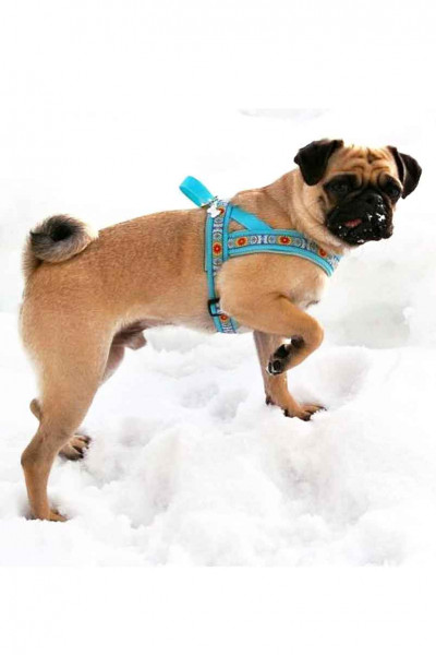 Hundegeschirr für Mops - Nähanleitung Schritt für Schritt