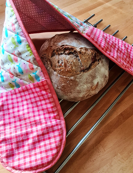 Erich und Erica - Topfhandschuh, Kreativ-Ebook