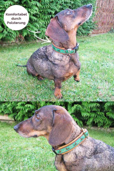 Unterfüttertes Hundehalsband nähen - Fell schondend durch Lederpolster