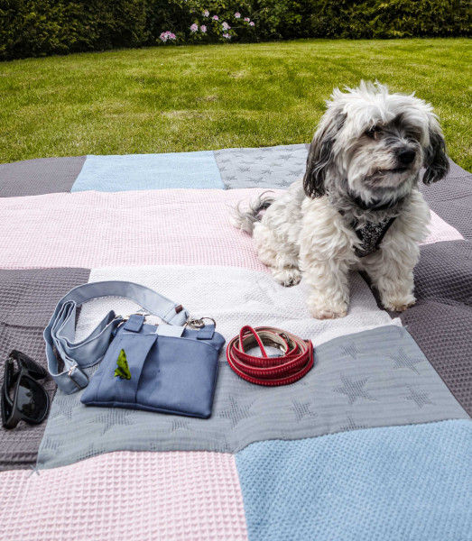 SchleckerBag, Leckerli-Beutel für die Hunderunde, Ebook