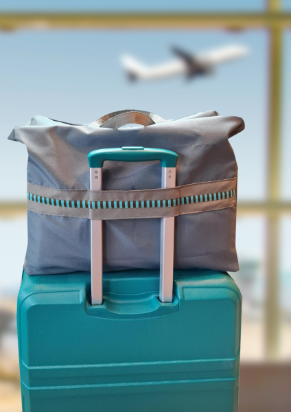 AllesRein, Großraumtasche für jede Gelegenheit, Ebook