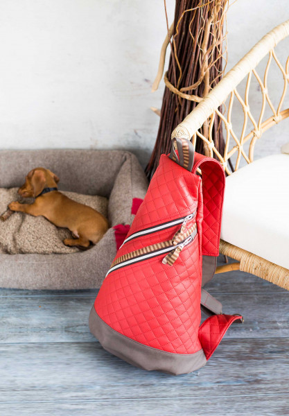 BigCrossbag, Crossbodybag und Rucksack, Ebook