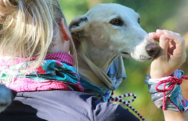 Tullehuivi – Schlauchschal Kreativ-Ebook