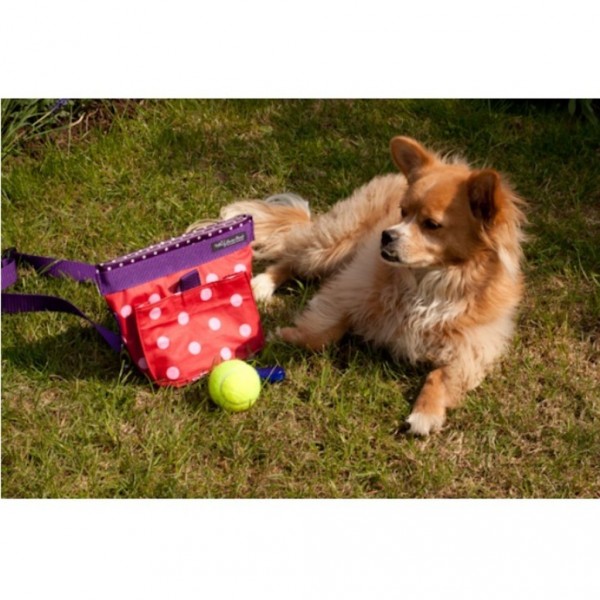 Leckerchenbeutel Naomi, Kreativ-Ebook